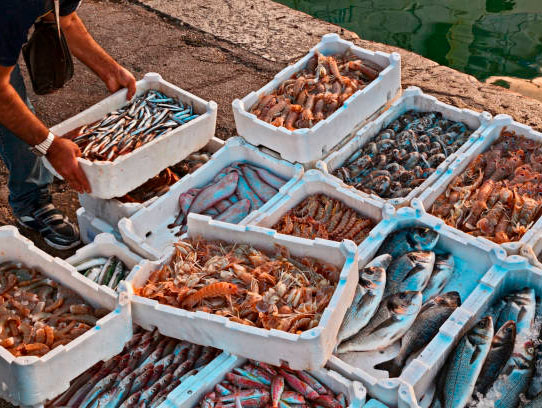 Restaurant Camarguais dans les Saintes-Maries-de-la-Mer