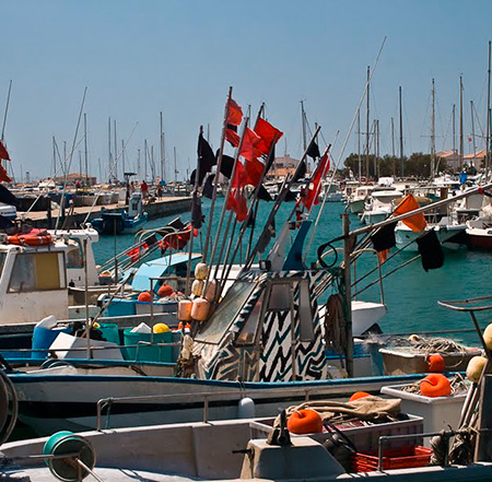 Restaurant des Saintes-Maries-de-la-Mer proposant du poisson frais